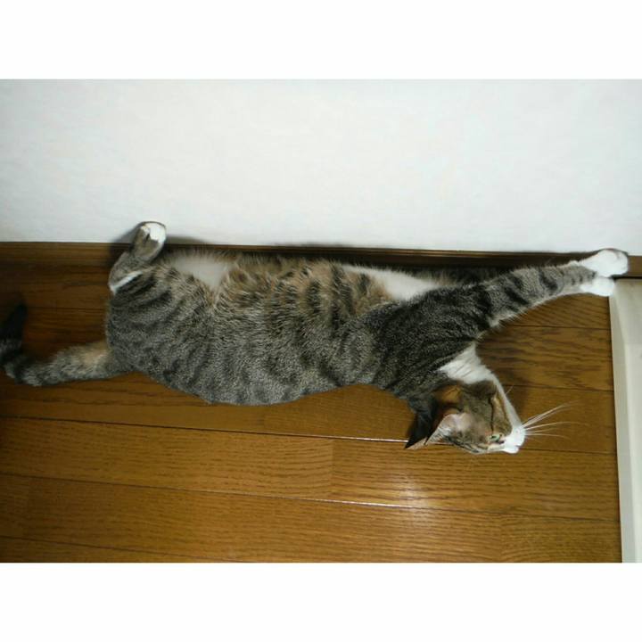 7bae363c 14d1 4e40 85f5 1b3f8b541943