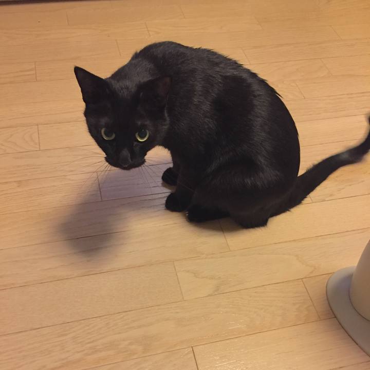 7bae5a53 5e0a 4090 8e8b a2d1451f180c