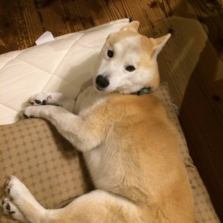 7baeaa93 7a5e 4c16 9e69 8fa28876e132