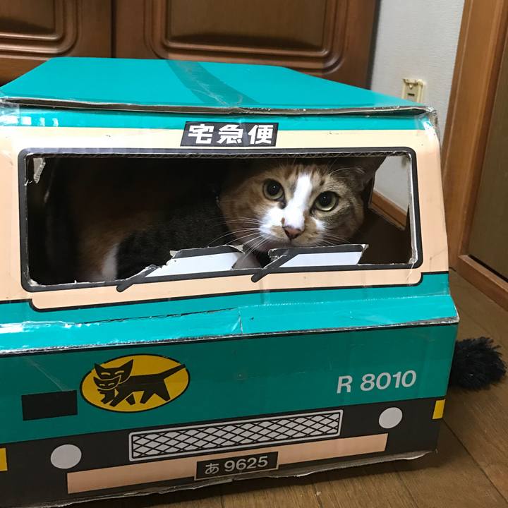 7baebcf3 6214 4f53 aa34 897cf46f6c95