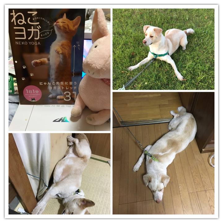 7baed5de 759a 46a8 9986 df01962da673