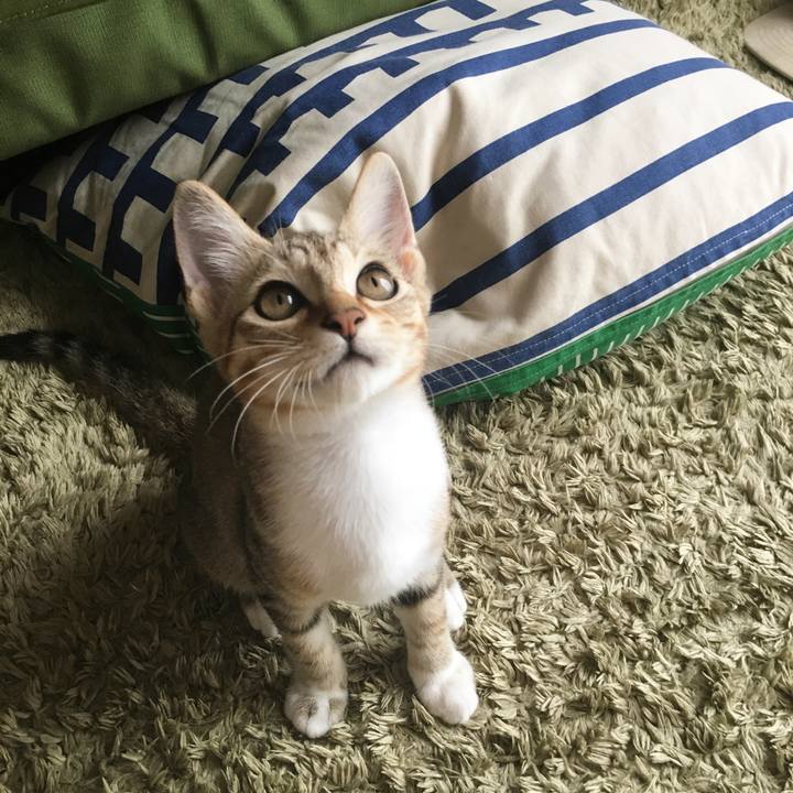 7bafe702 976e 4cf6 88ad 6a19efaf9d3d