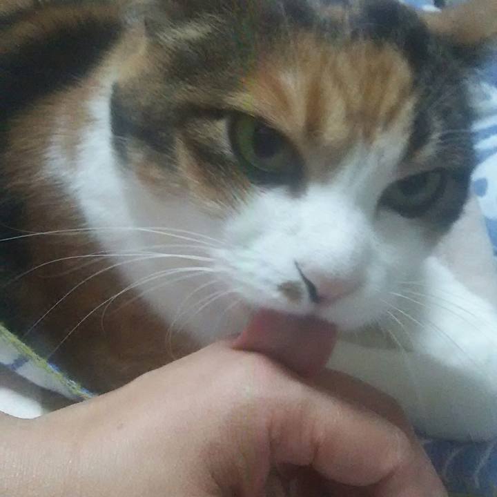 7bb0417b 7586 432b aa85 9f59369962ae