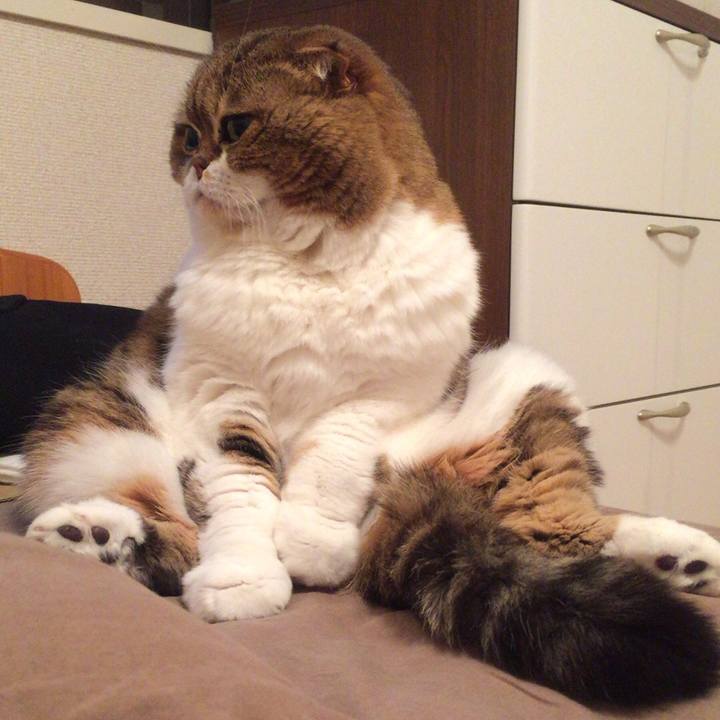 7bb04310 12af 4e82 a59c 9338c3dfb031