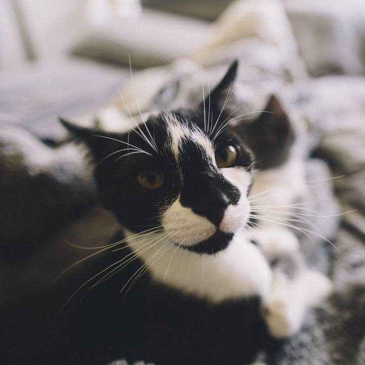 7bb04369 a058 4bed 8762 334fa80295e1