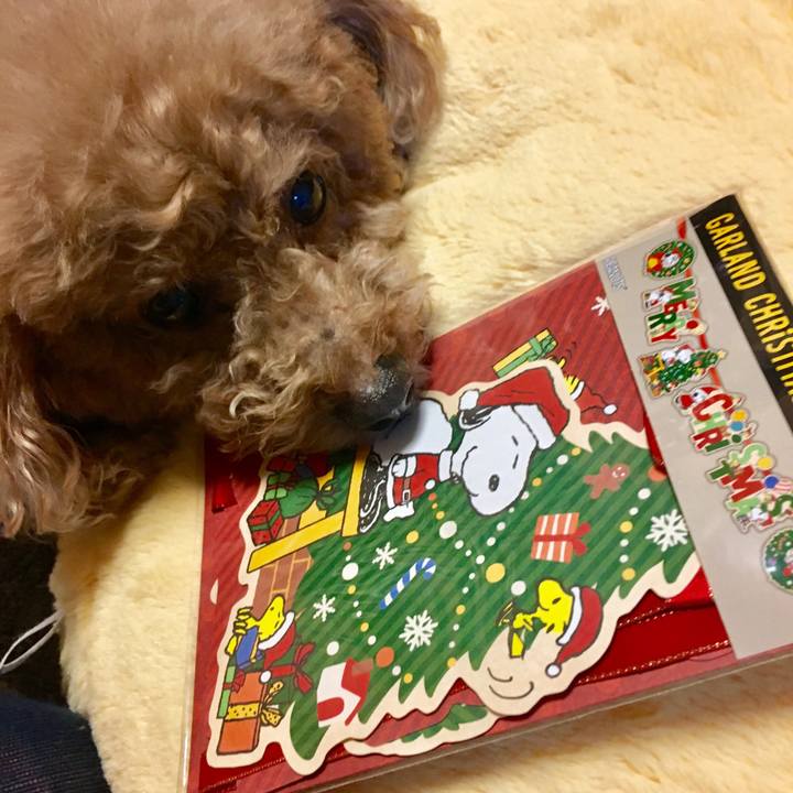 7bb0fa0c cde3 4564 b53b f0e24ff975f6