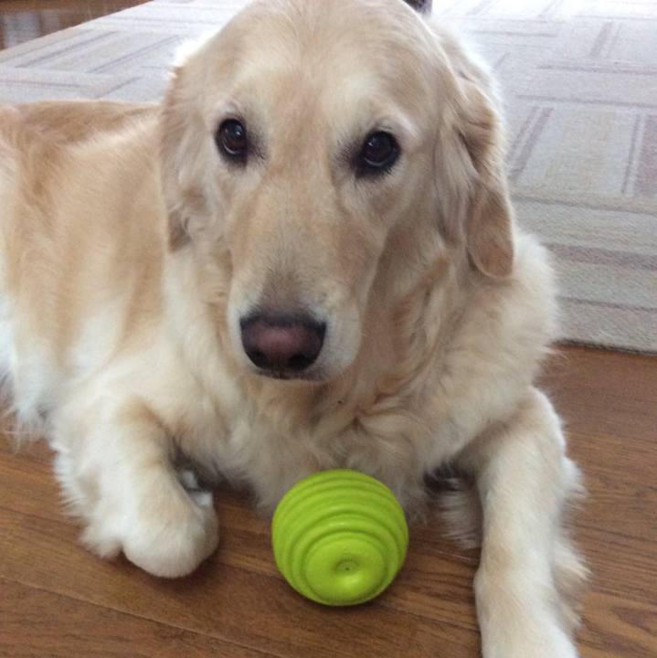 7bb134ea 4494 48bc 8f5e 35a8e140e560