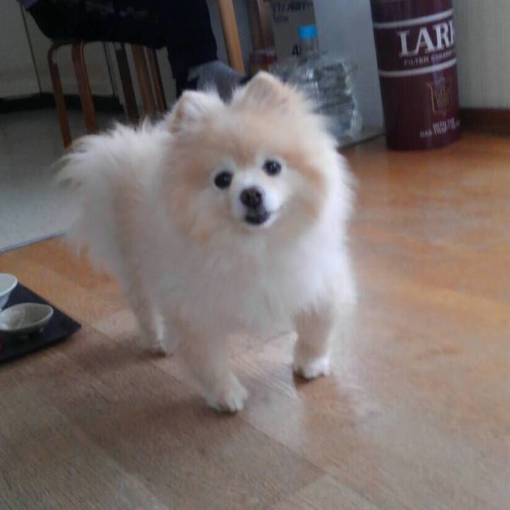 7bb26124 def1 49d8 b9c2 3677f0df6394