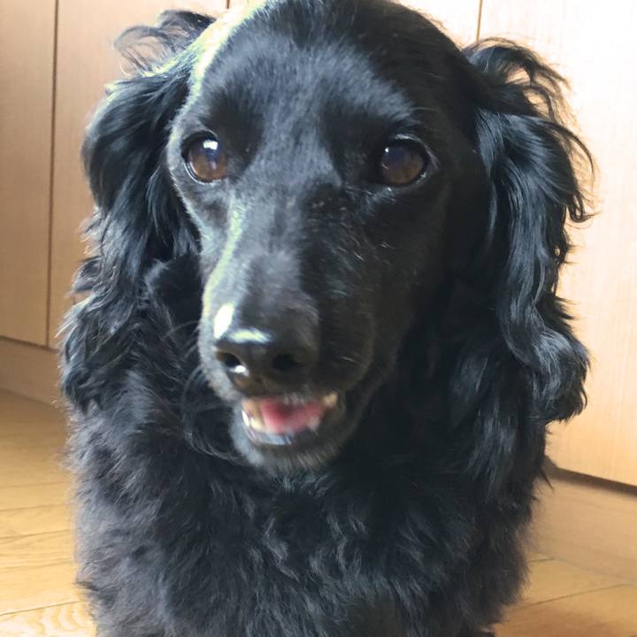 7bb264ba eb7e 474f 81f2 b8f815625c72