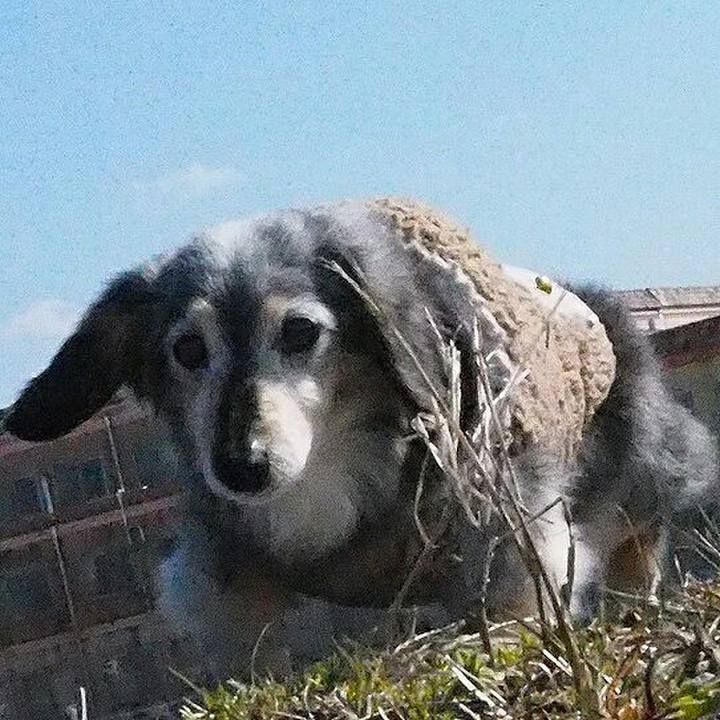 7bb423b1 5dab 4c79 96d8 245ee2596941