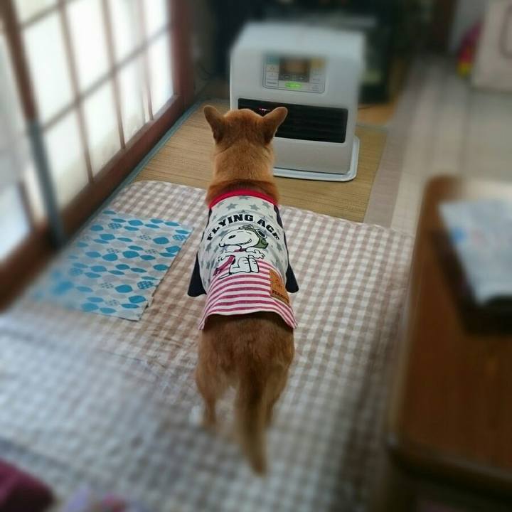 7bb42e47 9f12 43af aa5b 5f2534c95bce