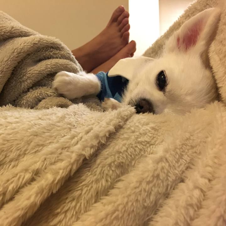 7bb46e81 e0ec 4328 bb38 d783e06b2baa