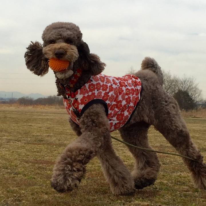 7bb4a557 d5fe 4ca9 a393 686c377958be