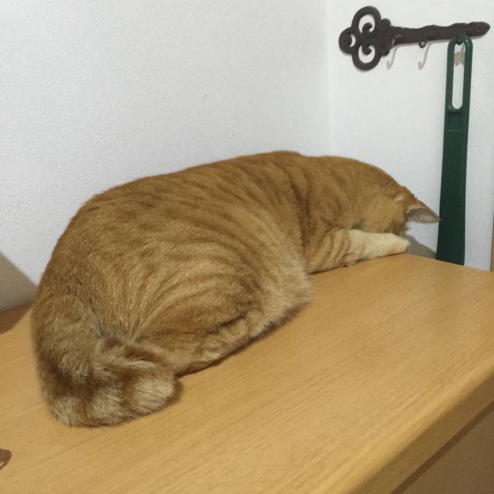 7bb4c442 f8e3 448e bf56 8702ab3762d3