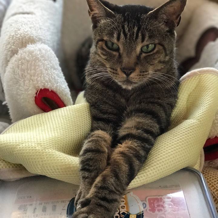 7bb4d5de e863 4135 8d9d 31e338b19345