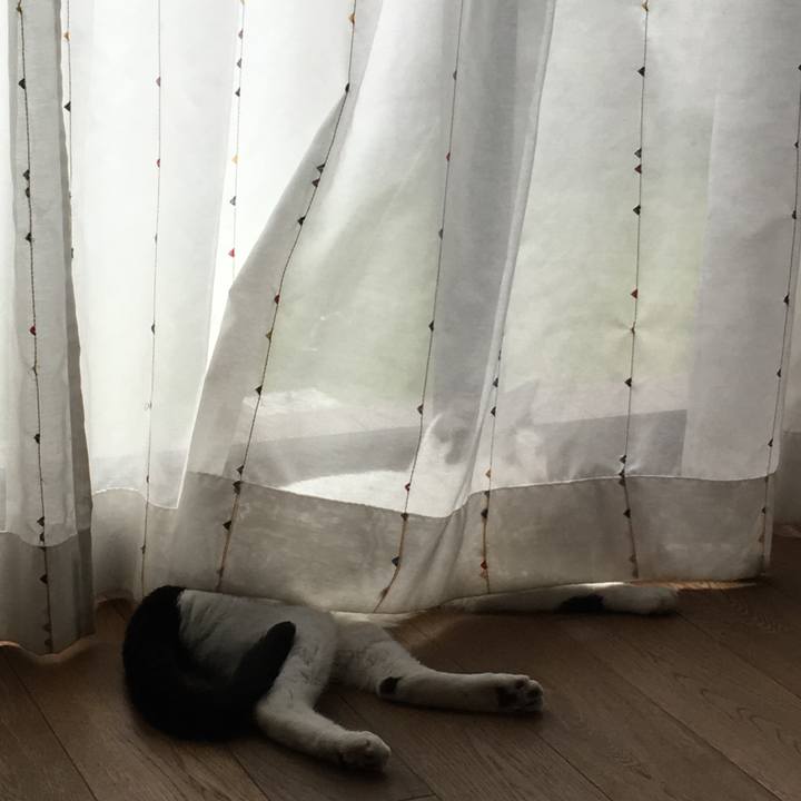 7bb4e8f8 d672 4dba a0d3 d603b3f97df0