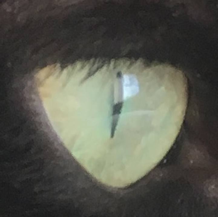 7bb54b61 dfd0 4daf 8619 ad5ea3c55130