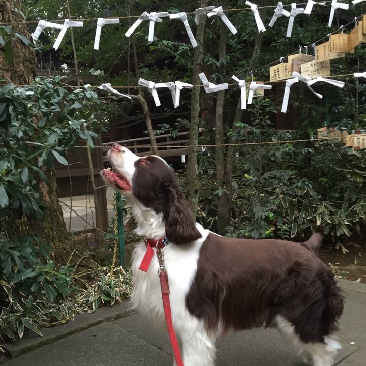 7bb5a010 58b5 4339 ac28 bd14246256e1