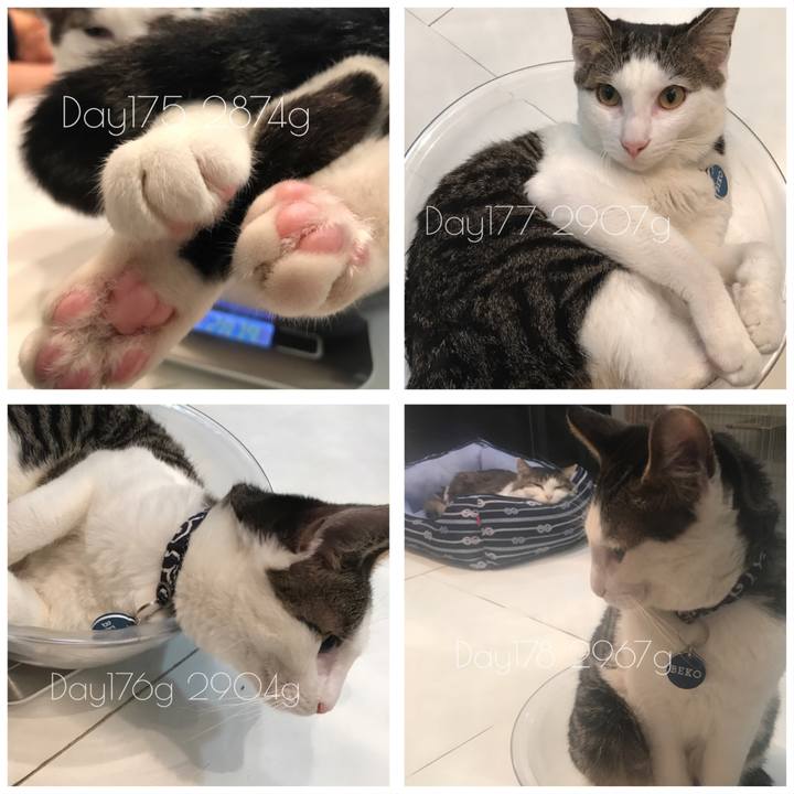 7bb5dfb3 ea73 4083 9975 d4fe997337a6