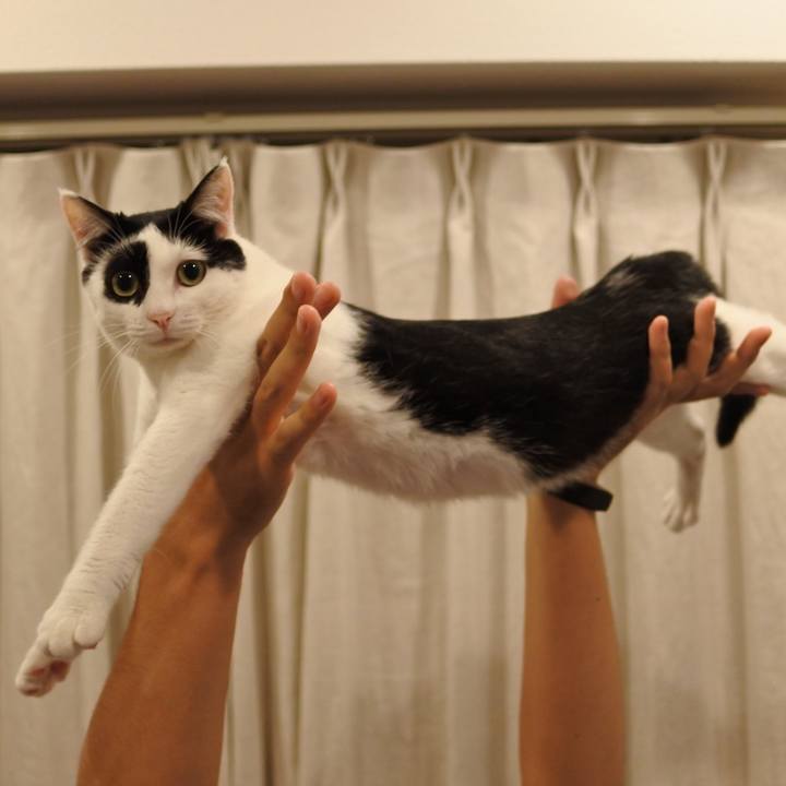 7bb635d8 46ca 4035 b87a cd25c3b6c463