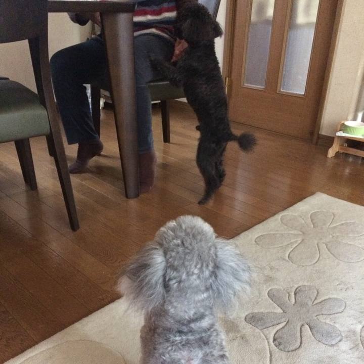 7bb6bcba 53f9 40fe 95da 1638a14bcc85