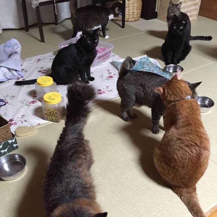 7bb71b5d aa16 4518 bc10 4bf9cc2cc6b7