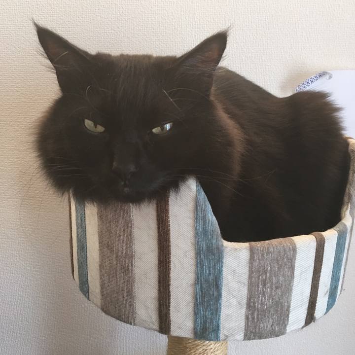 7bb84523 4e41 4634 8256 ea91bad782d6