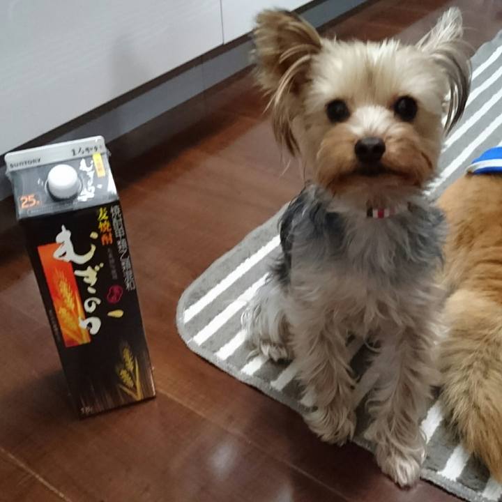 7bb85822 5e2e 4297 af3b 9e2f07a4eb49