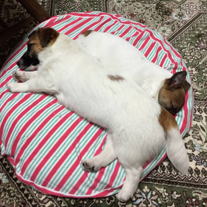 7bb87cf5 fc5a 4d22 a49c 3802b76a916b