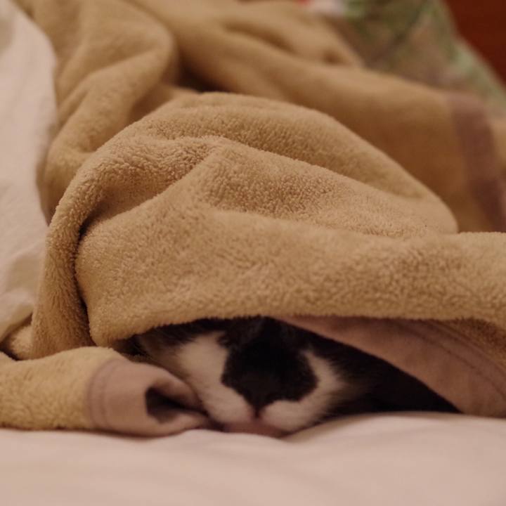 7bb8d07c 5f4d 4b41 95df 47301f6af248