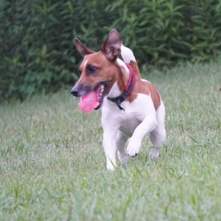 7bb8d41e 4f29 4668 a98f 805dab123d94