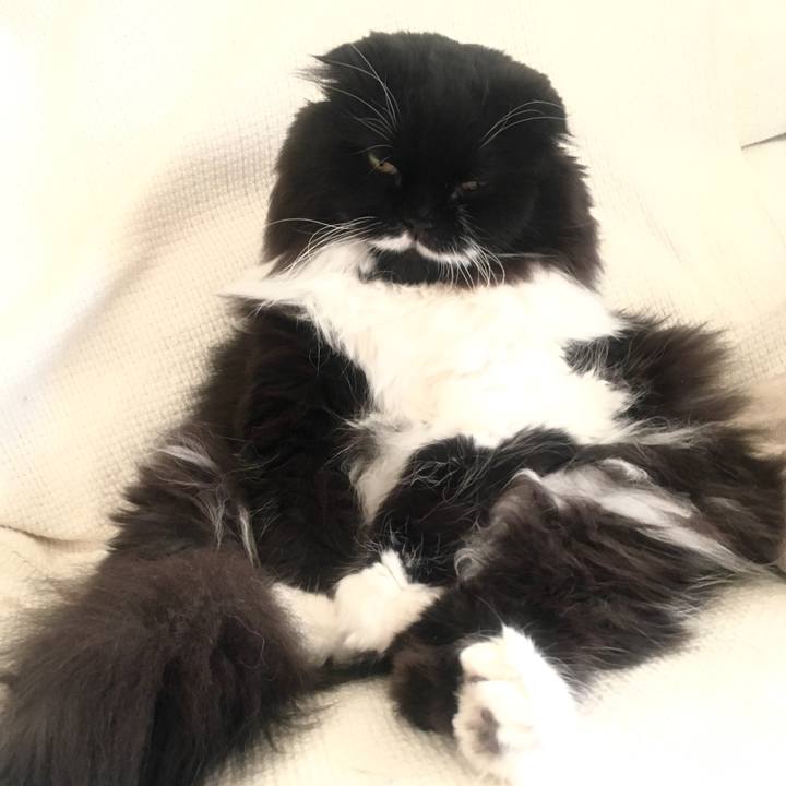 7bb909bb 9057 45f0 ae19 09c06f5f65ce