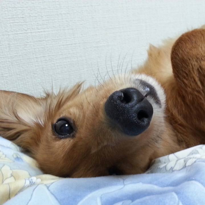 7bb9a28b 94cd 4ce2 aa76 59a3d26704db