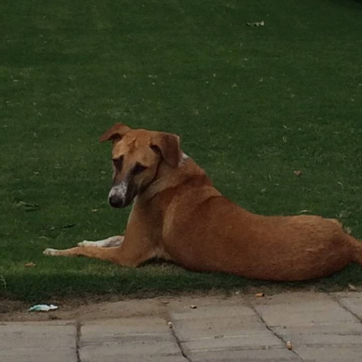 7bb9ae57 0c19 4e6f 93b4 abdae9a6d0c5