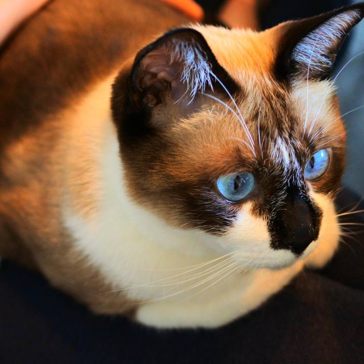 7bba4e2a 559a 4cc2 8002 edc95819192c