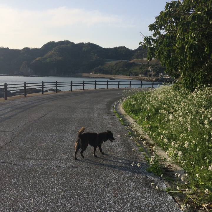 7bbab9ac 3042 4941 b2ac 3999ad0d5e13