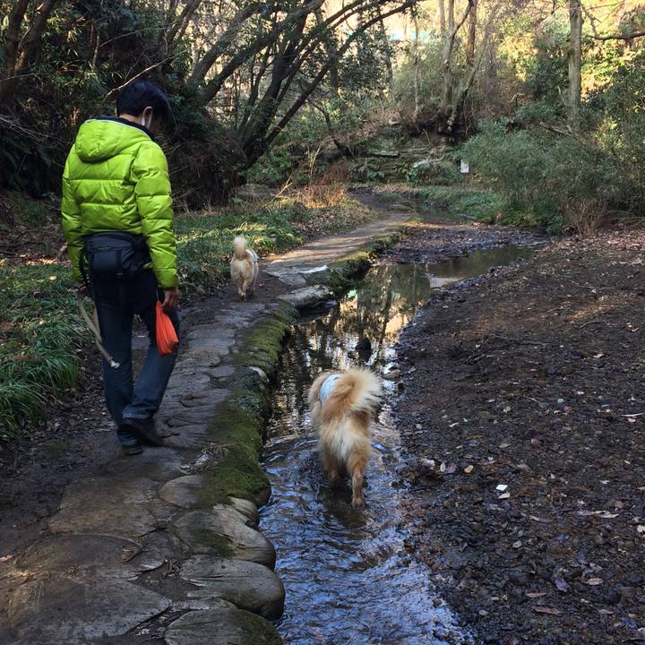 7bbafb59 3fdd 478a 8408 59e042efdaf0