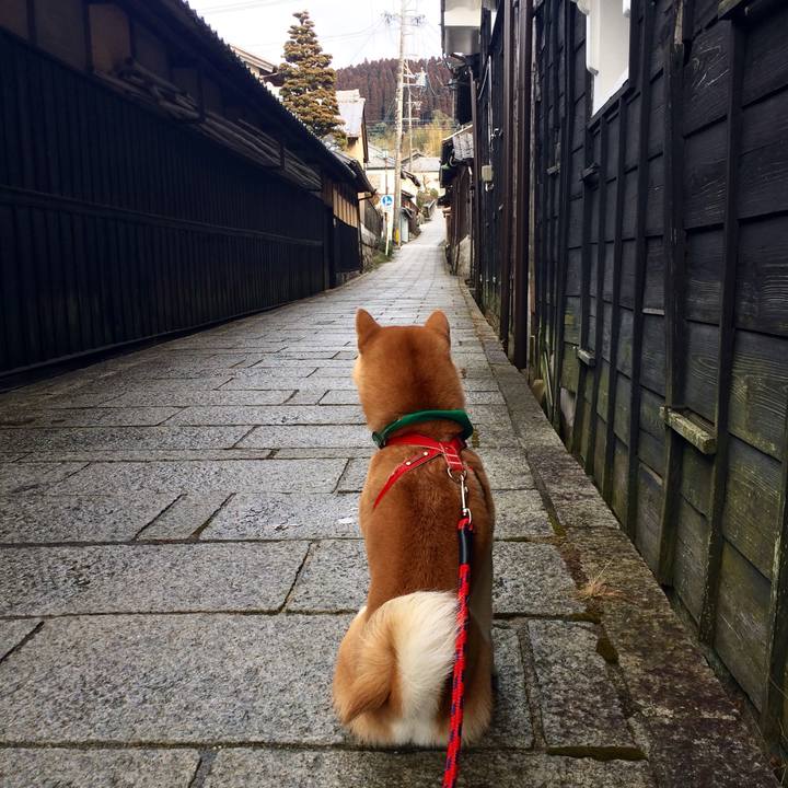 7bbbccc7 9a9d 4a85 a6f2 04a5b616988b