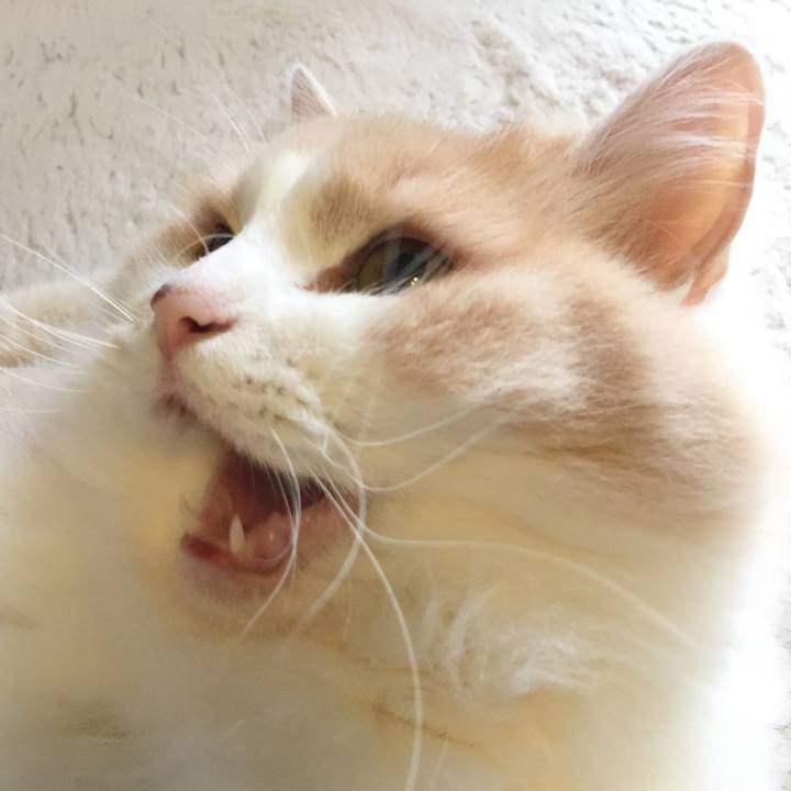 7bbbef8d a0d4 4bb8 be49 69bdb24f63e1