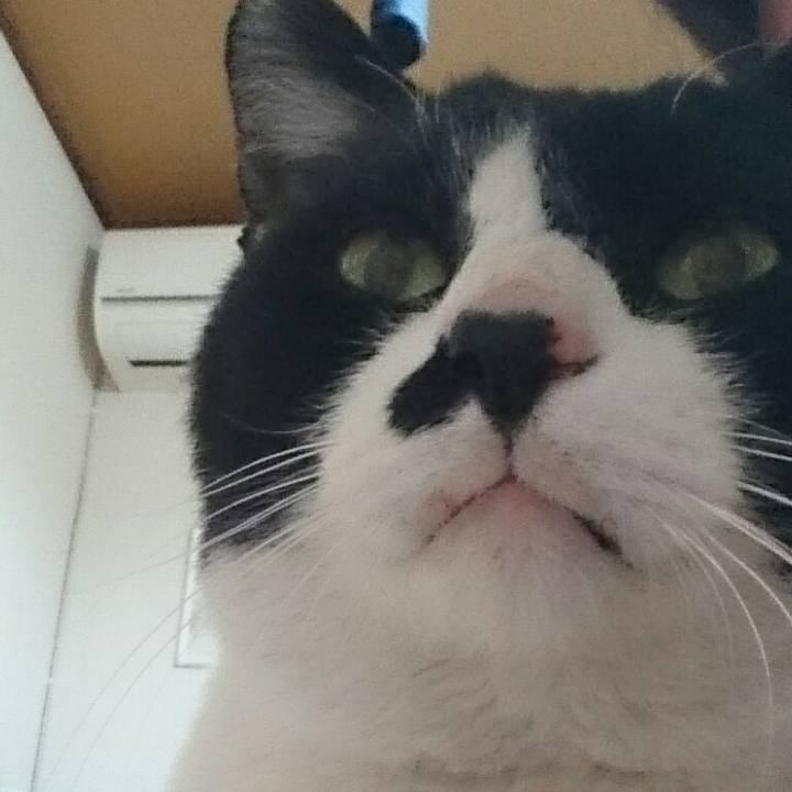 7bbc775c 5c26 47d4 af0f 6103dac67da5