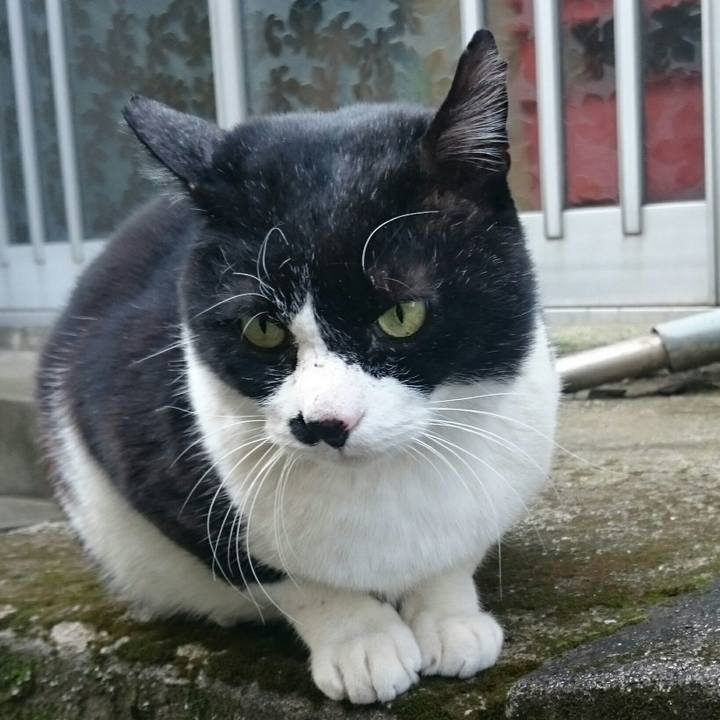 7bbc8c88 d145 401d 8d15 8b7748207894