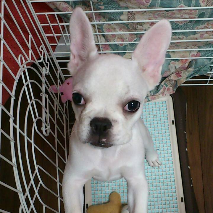 7bbcfea7 2623 48ee b5e5 196ff9fa5095