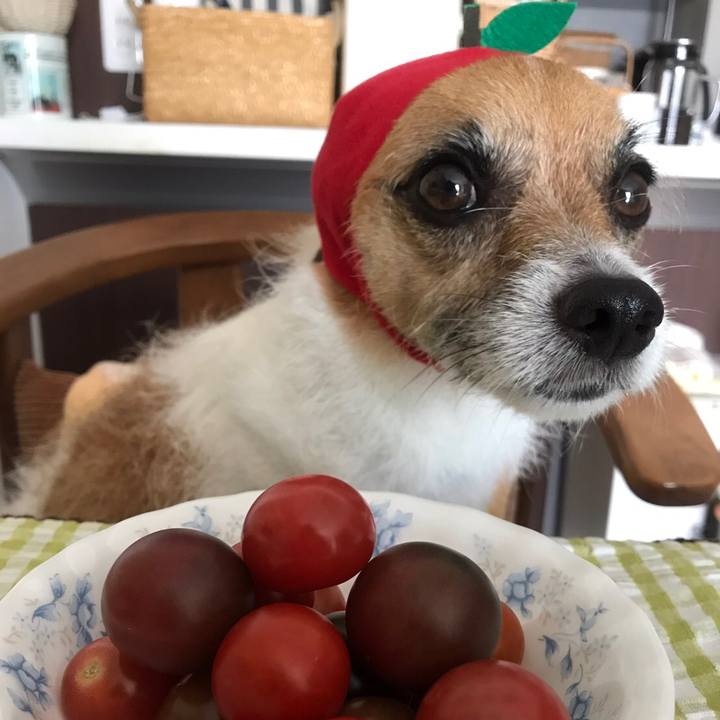 7bbd3273 594f 4803 af32 74fb851c1b7f