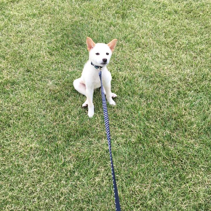 7bbdd08d 4ec9 48c6 a1c3 ea0d9e308fa5