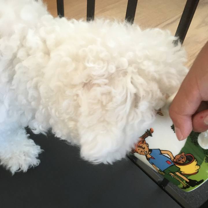 7bbde327 0075 4909 83ba ea250ffeb276