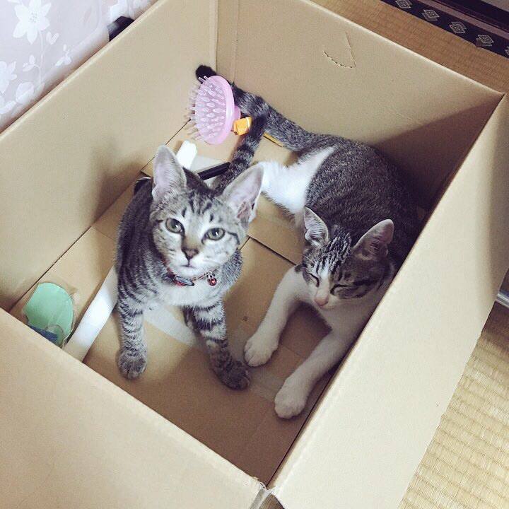 7bbe1cdb 7f20 41d1 b96d 7ea15dedbba0