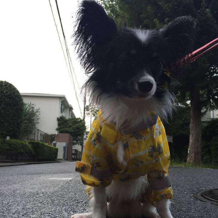 7bbe76fd ac43 407b 9dfb bf1c2ca02733