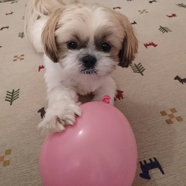 7bbe7931 fb32 4fc8 be03 ad3f6b3733a5