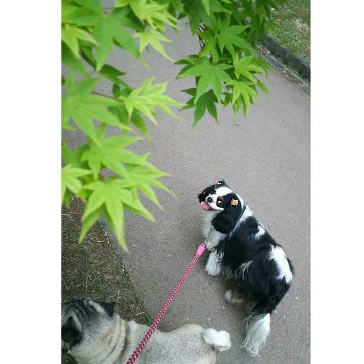 7bbe9917 e148 45b9 9fb8 76438a3d5de4