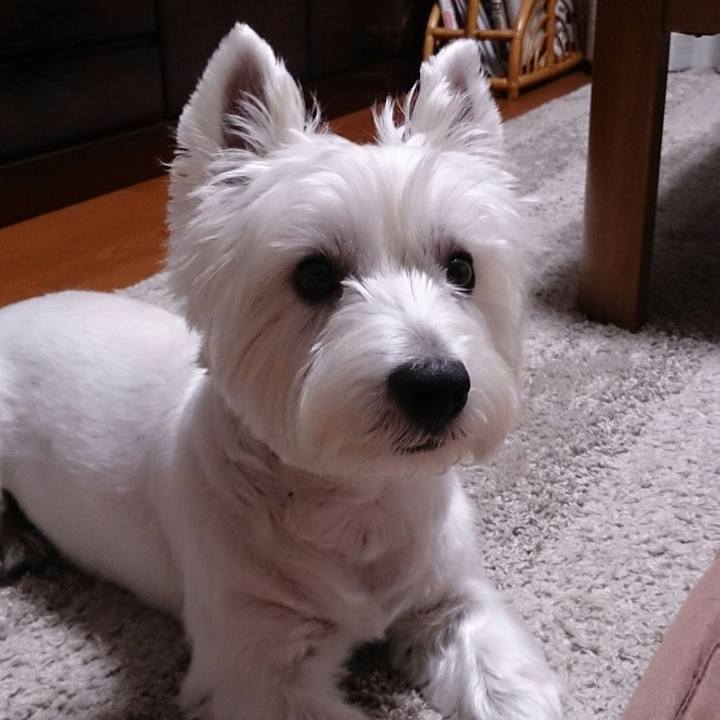 7bbee5a7 fe3e 4699 a223 fd0abb871379